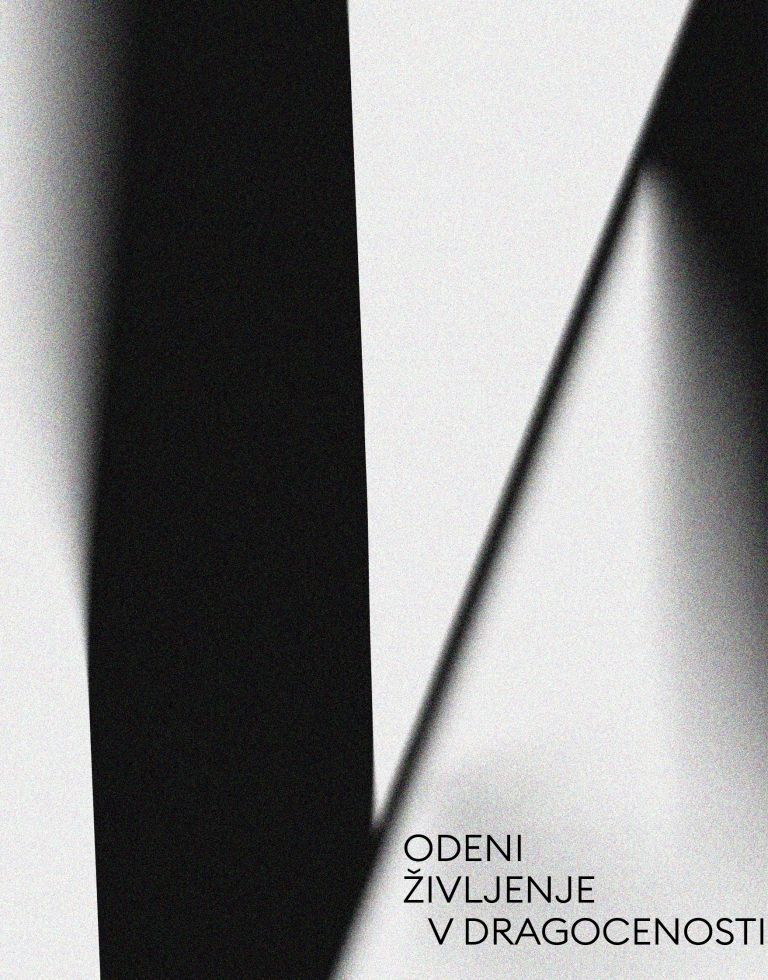 Journal Answear modni editorial