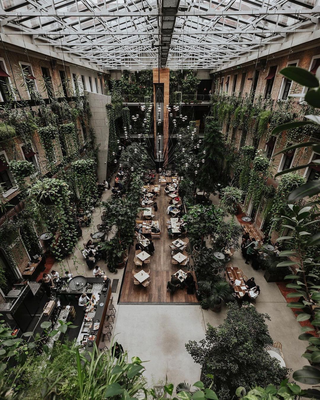 Dobrodošli v džungli: restavracija v Budimpešti, ki je osvojila Instagram