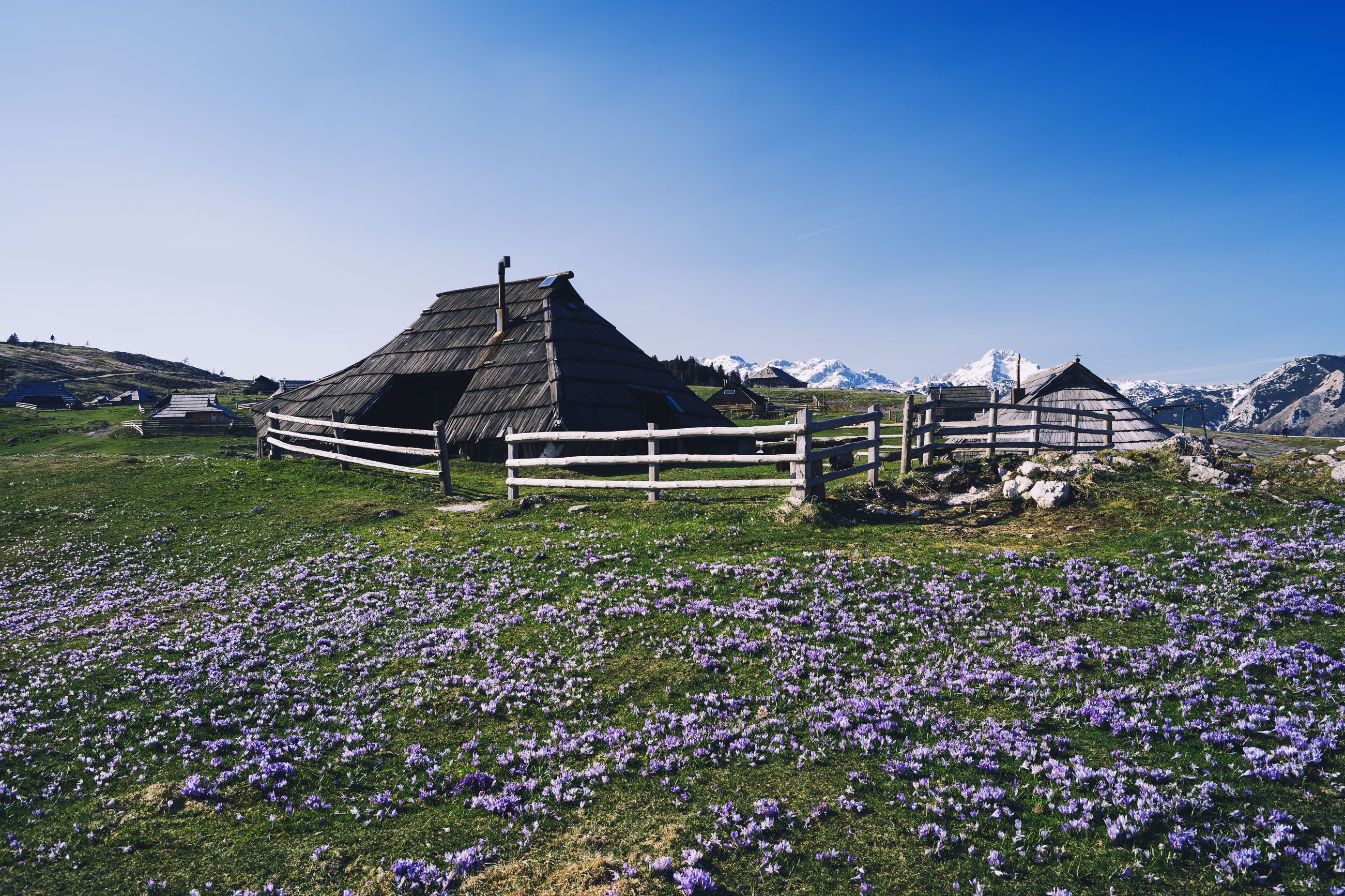 Velika planina