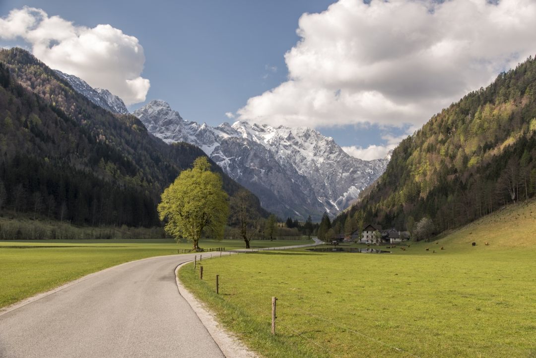 Logarska dolina_iStock