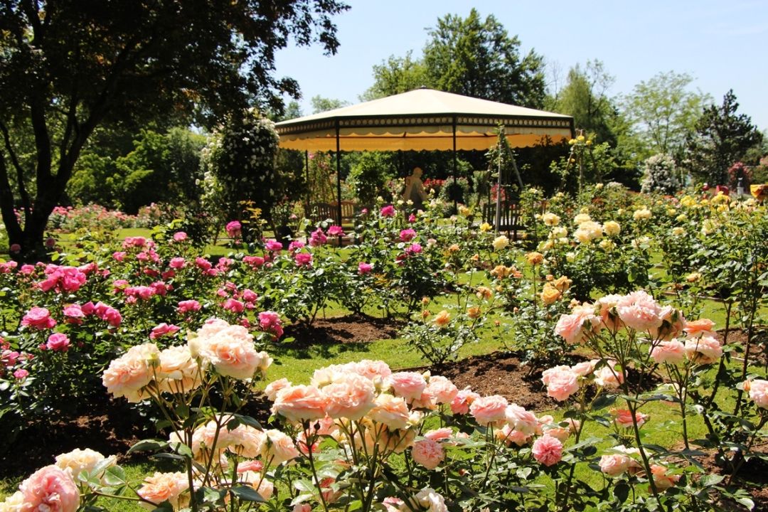 Arboretum Volčji potok, Slovenija (9)