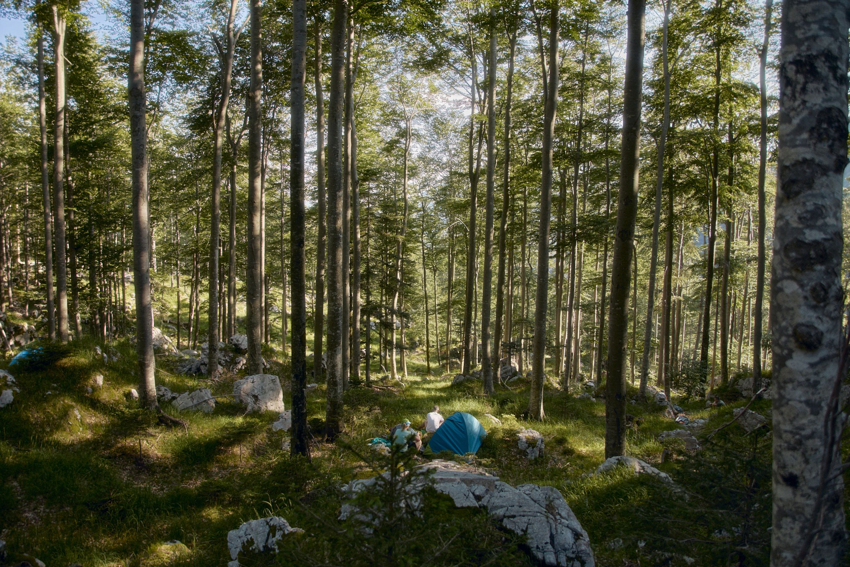 Highlander Slovenija foto: Arin Rapuš