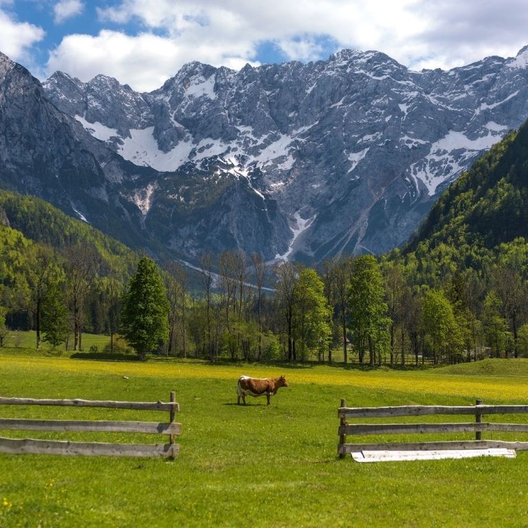 Če ste ljubitelji gora, boste povsem očarani nad našim izborom nastanitev v objemu rajske narave