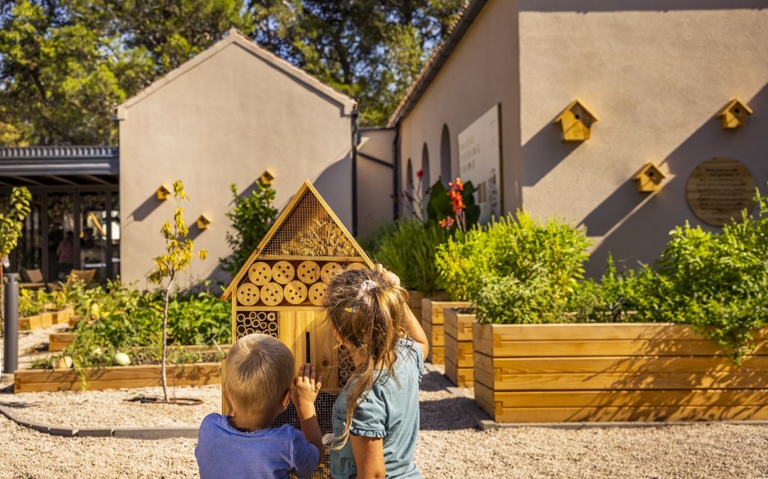 Valamar Amicor Green Resort_Eco Garden