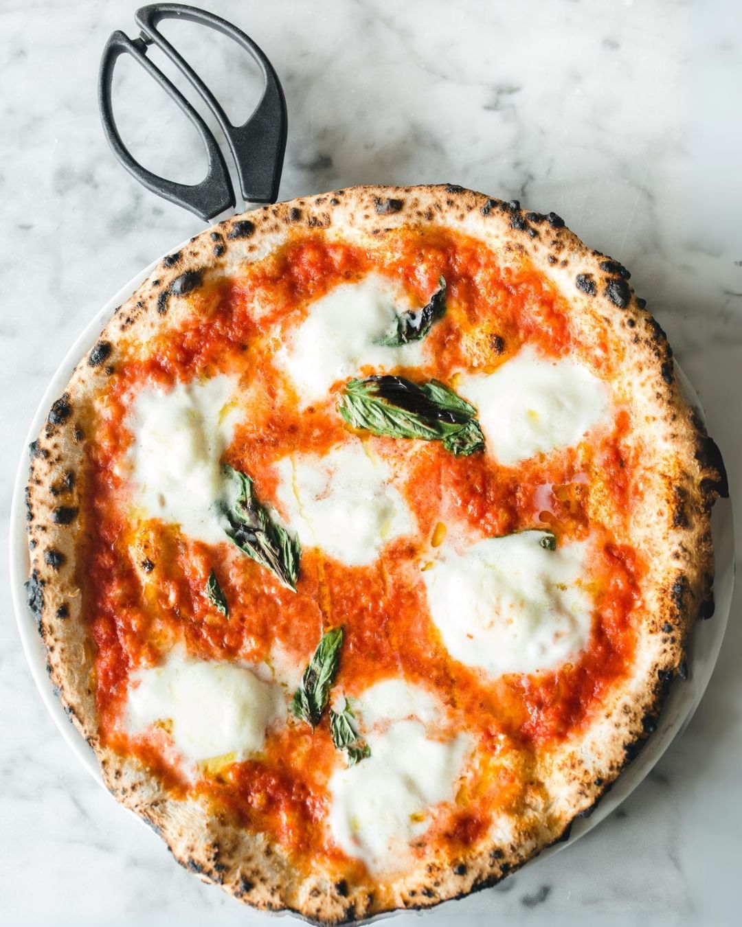 Spoznajte Pausa Pizza: Zamrznjene pice z drožmi, pripravljene na neapeljski način