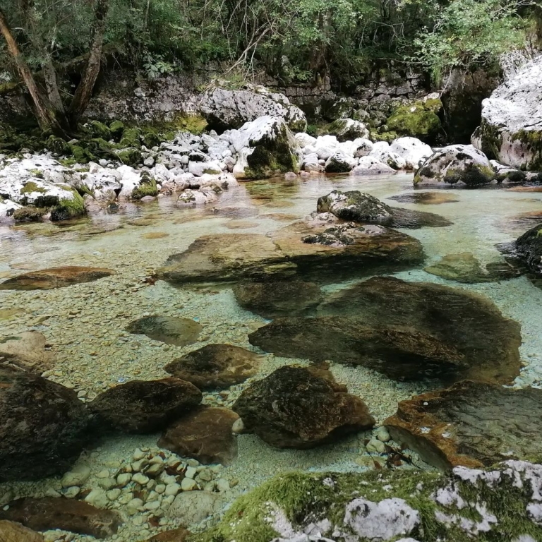 bohinjsko jezero bohinj slovenija