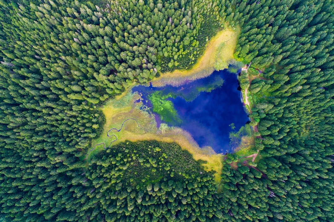 skrita očarljiva jezera Slovenija