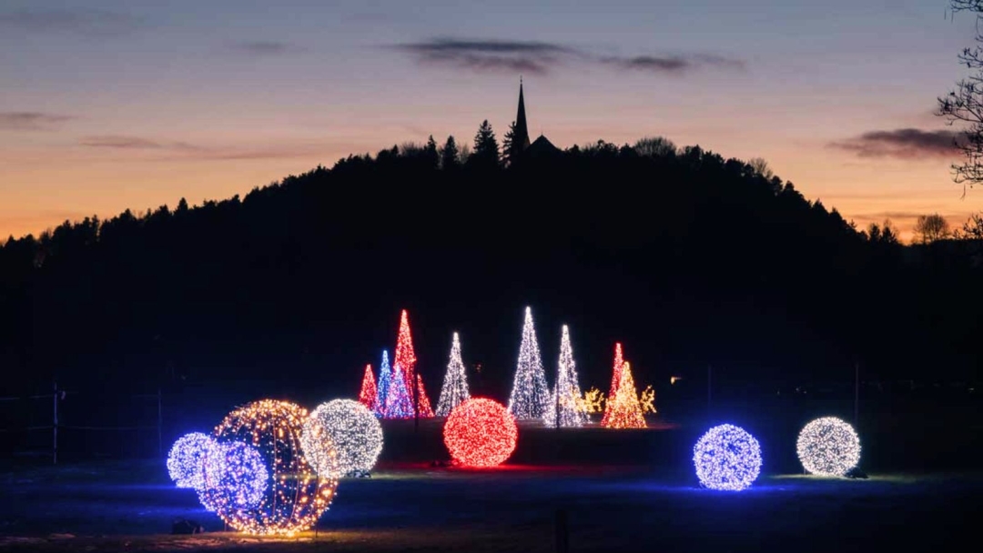 vecerni-sprehod-med-lučkami-arboretum-volčji-potok