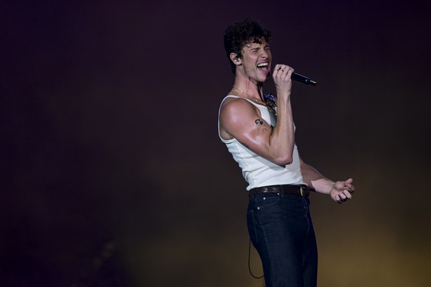 Charli XCX, Chappell Roan, A$AP Rocky, Shawn Mendes … Kdo vse bo to poletje nastopil na festivalu Sziget?