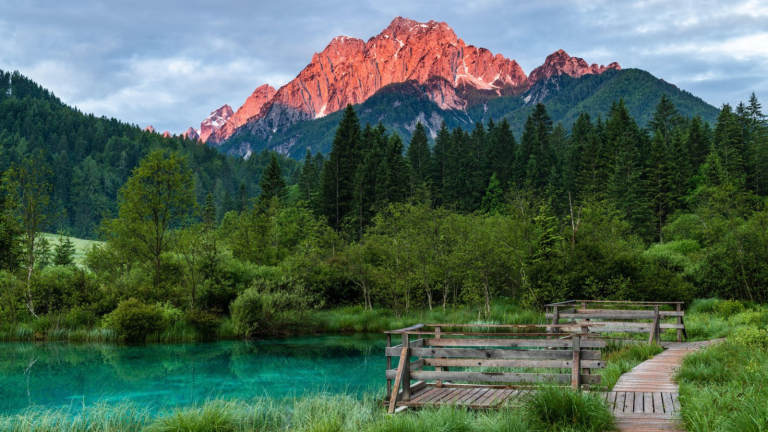 Zelenci