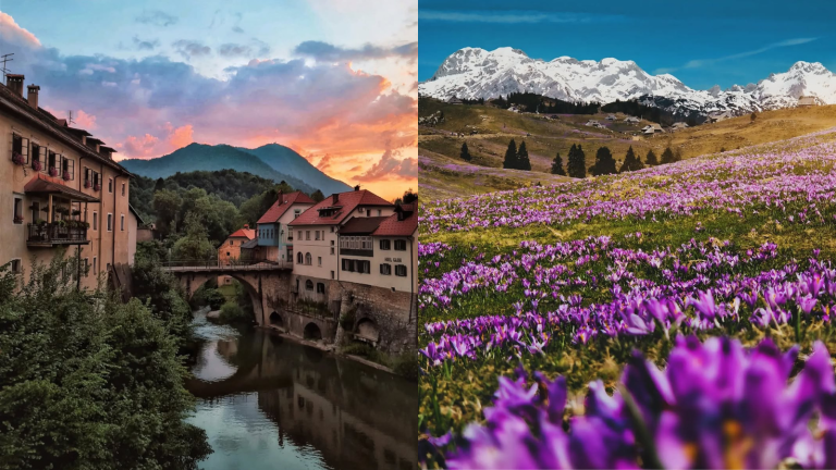 Enodnevni izleti