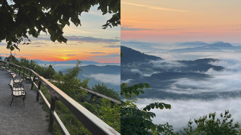 zeleni griči