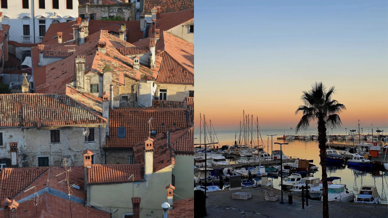 Koper