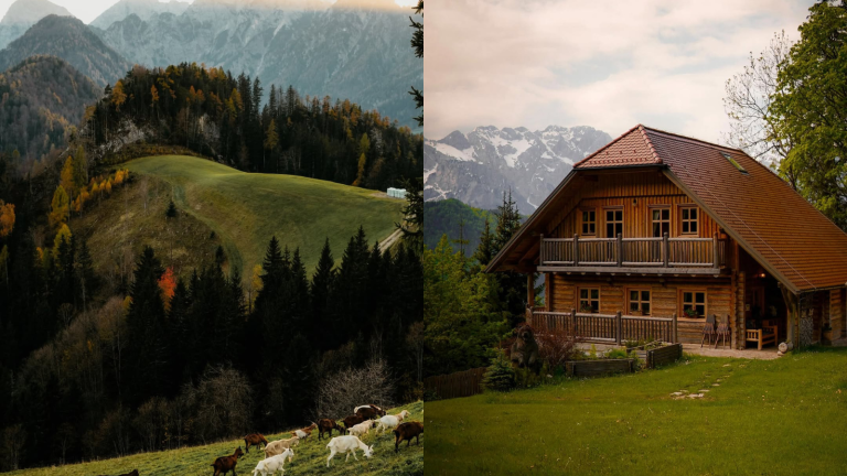 Logarska dolina