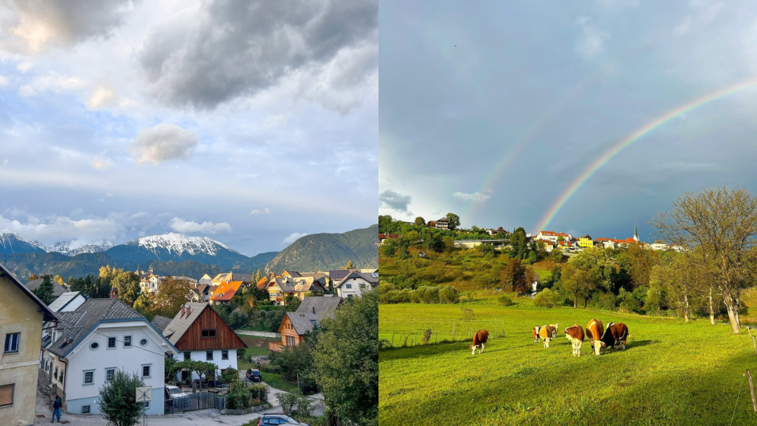Radovljica