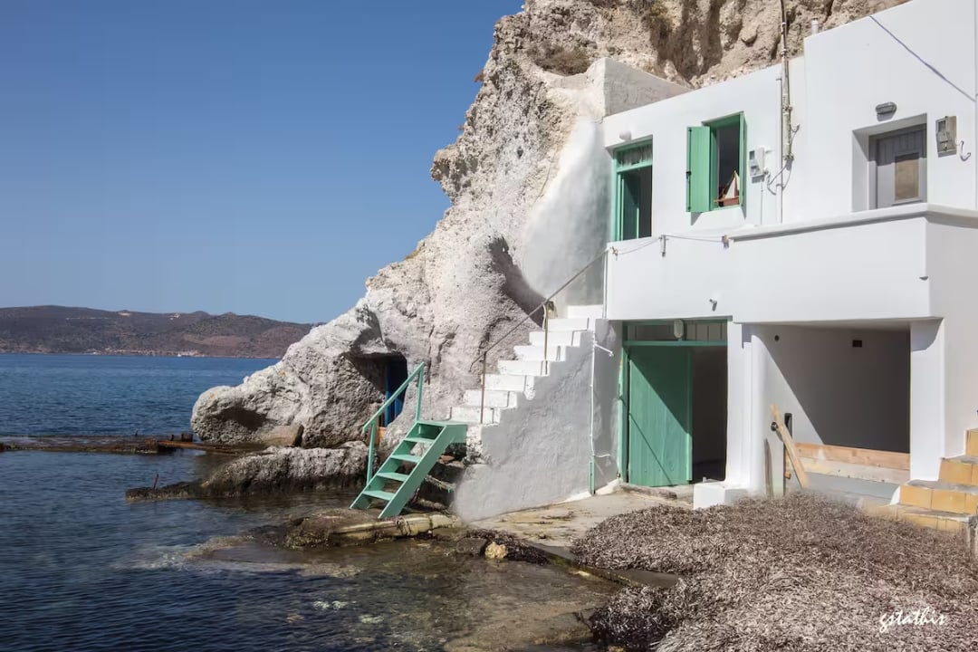 Seaweed Studio