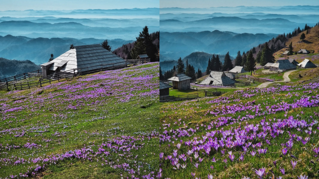 Velika planina