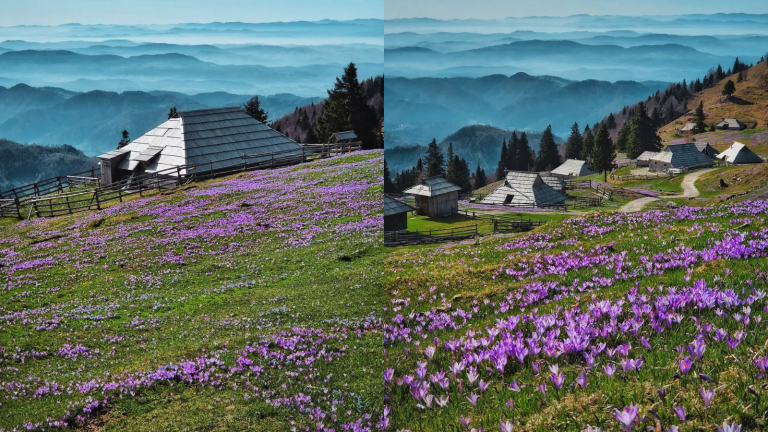 Velika planina