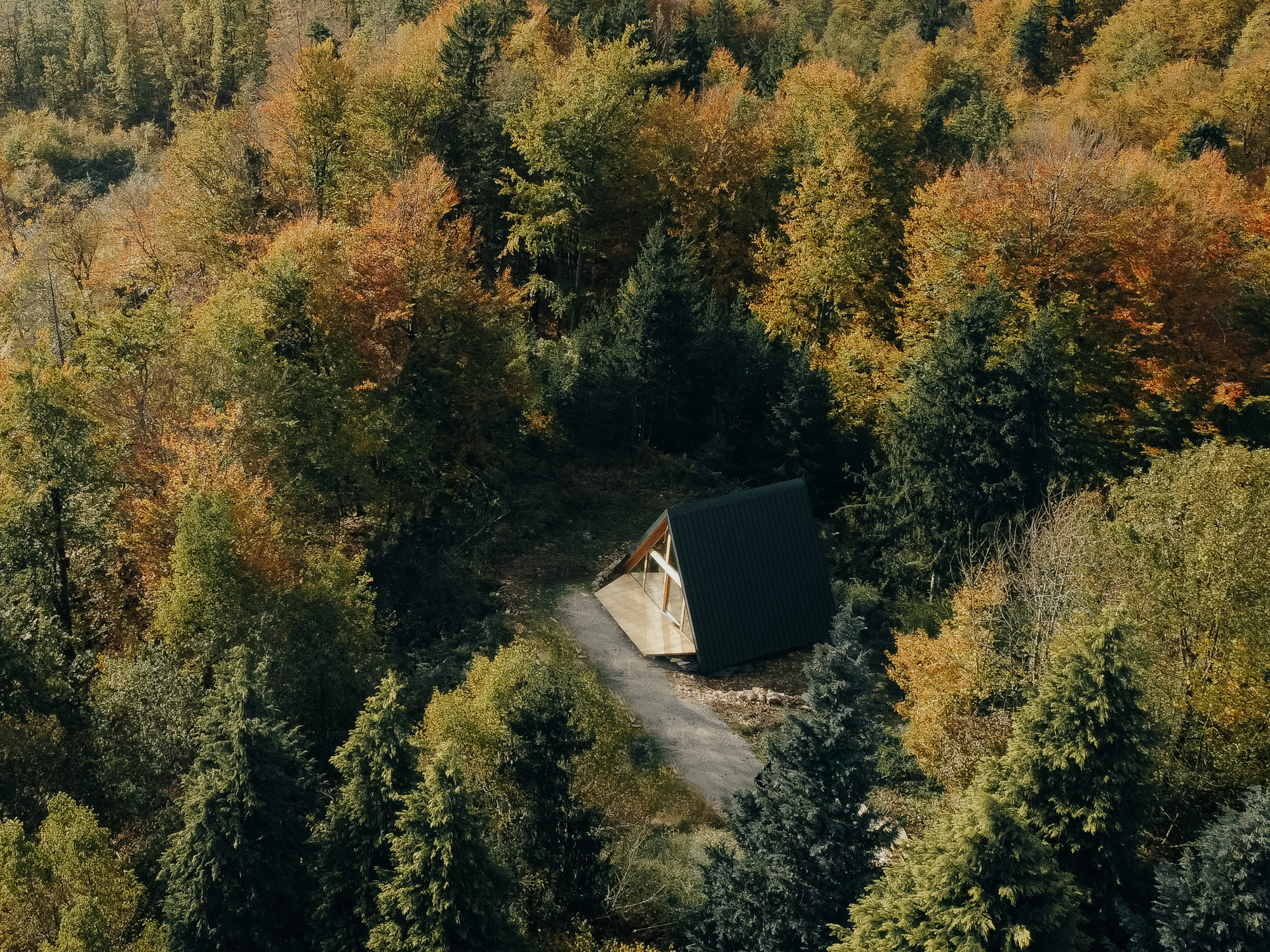 FORESTNEST