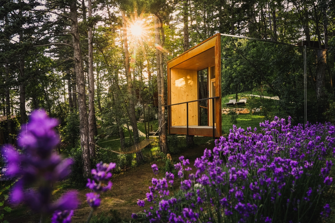 ForestVillageTheodosius