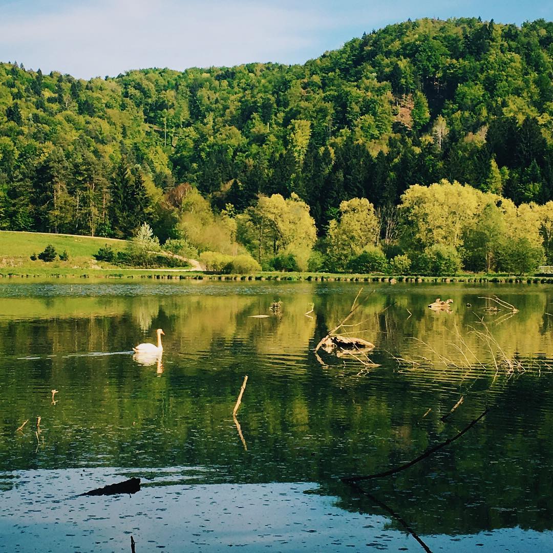 Alternativa Bledu in Bohinju: Sprehod ob jezeru in vzpon do cerkvice s pogledom na Alpe