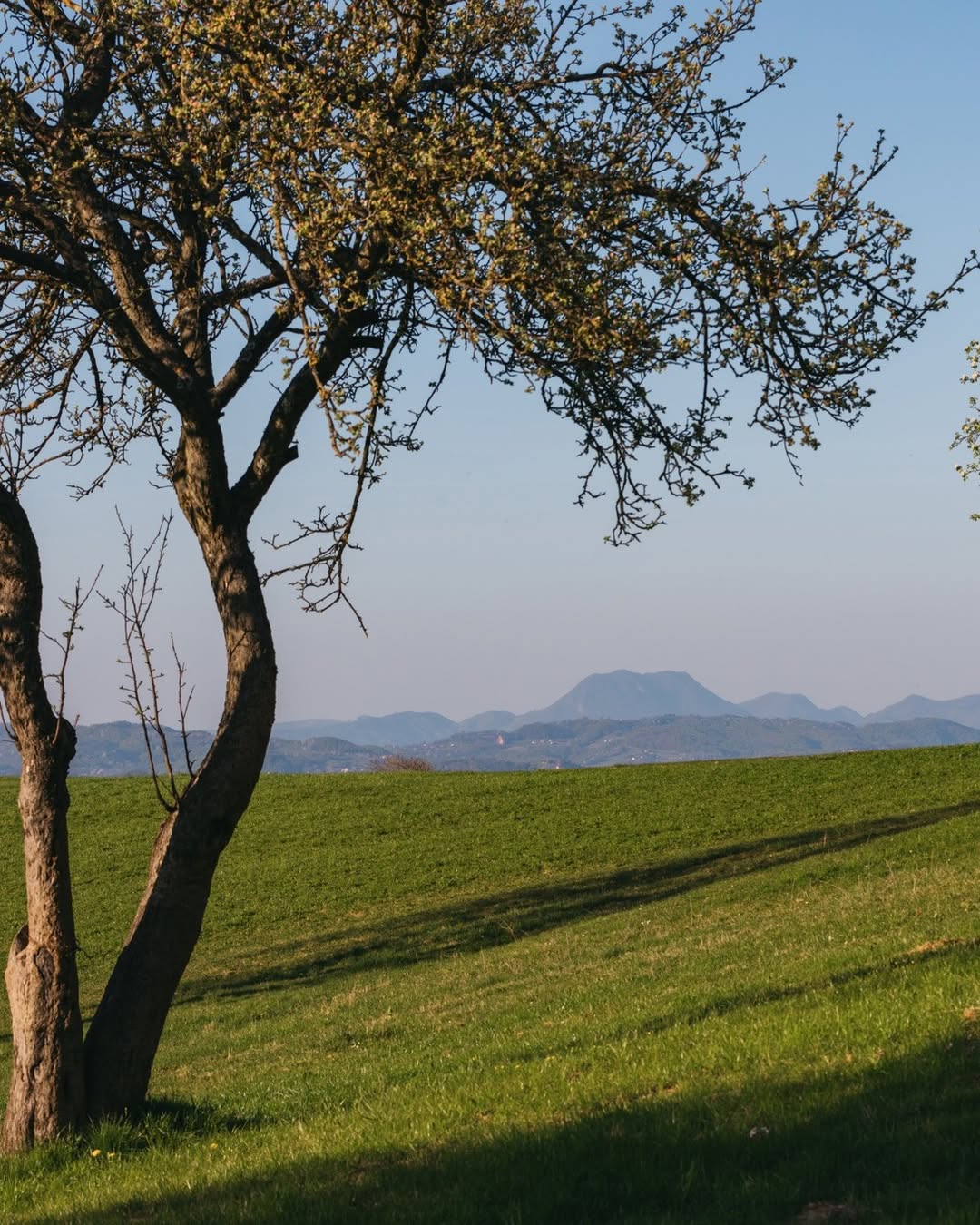 V pohodniških čevljih ali na kolesu po sledeh kulturne dediščine: Slovenska pokrajina, idealna za aktiven oddih