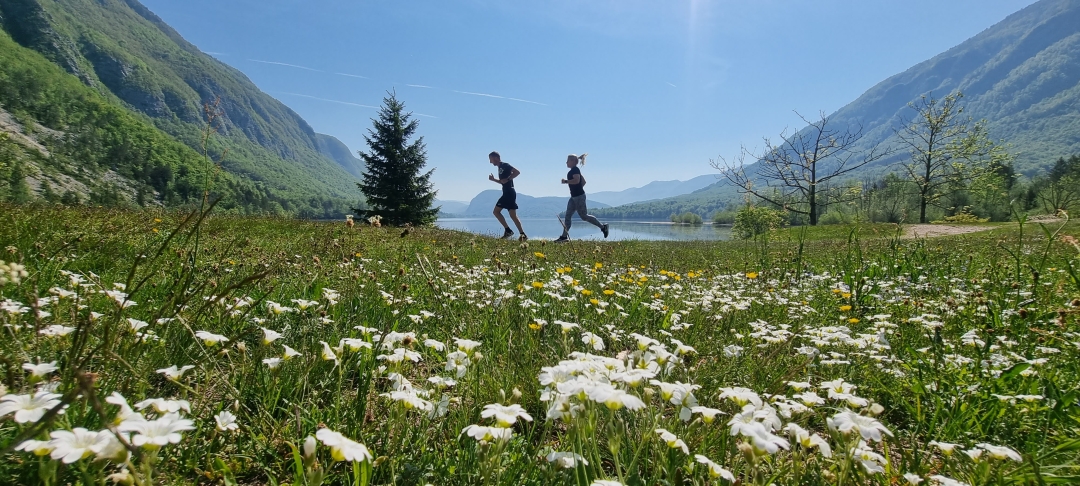 Mednarodni festival alpskega cvetja