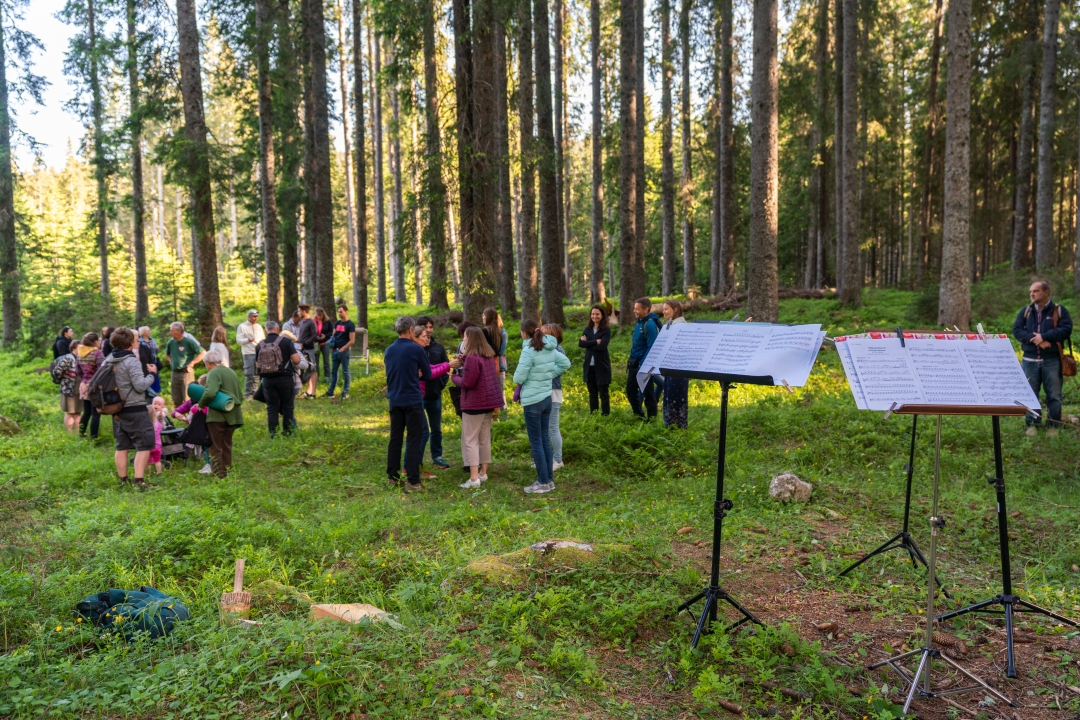 Mednarodni festival alpskega cvetja
