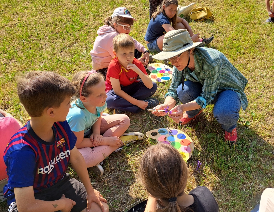 Mednarodni festival alpskega cvetja
