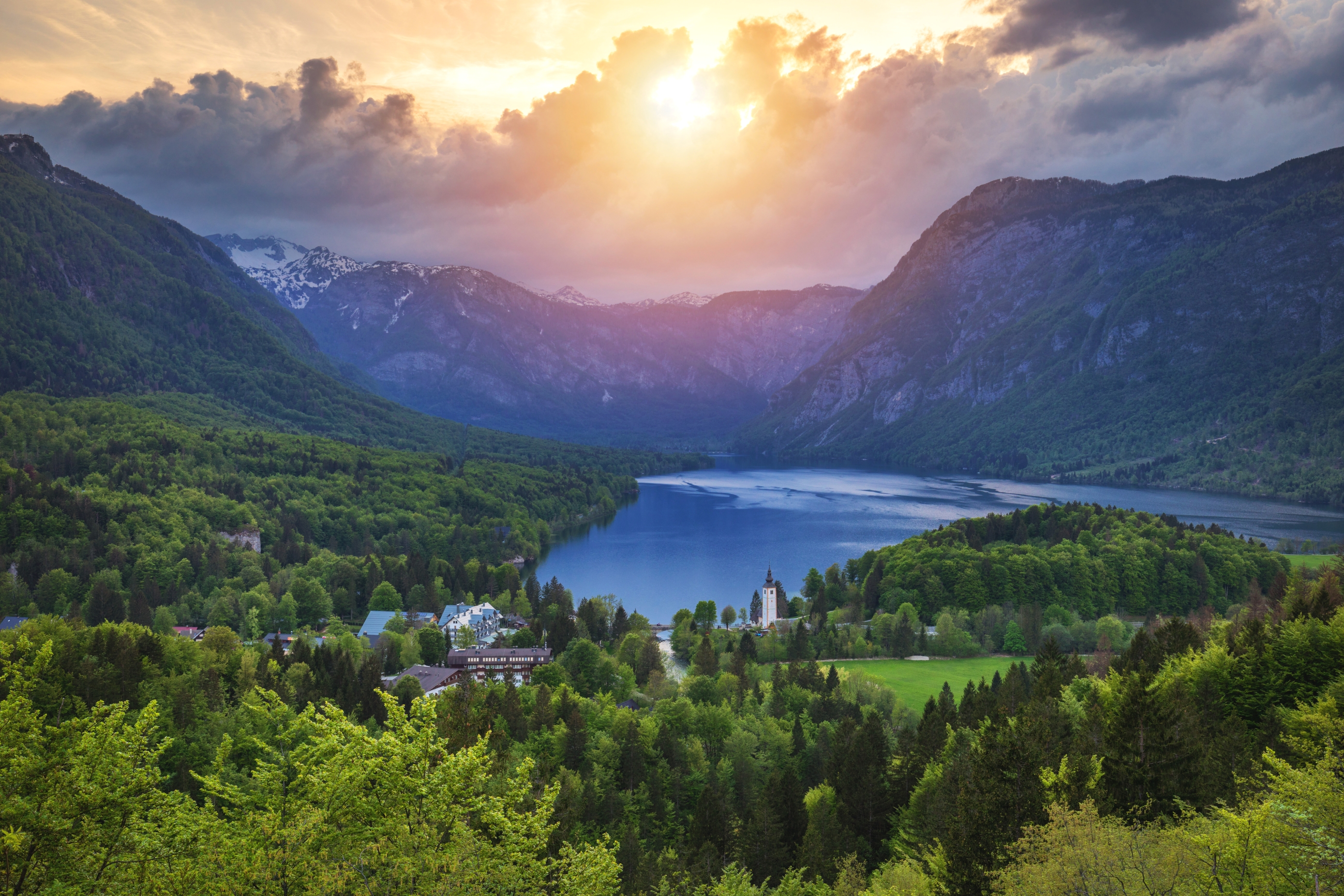 Mednarodni festival alpskega cvetja: praznik cvetja, narave in ustvarjalnosti v Bohinju