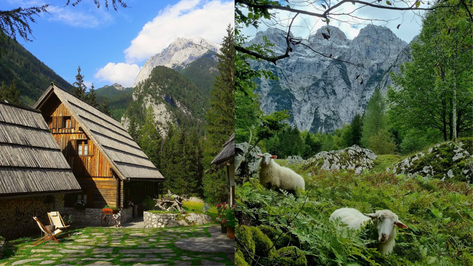 Slovenski “Tirol”, kot iz starih razglednic: kraj, kjer med zelenimi pašniki in lesenimi hišami najdete spokojnost in nostalgijo