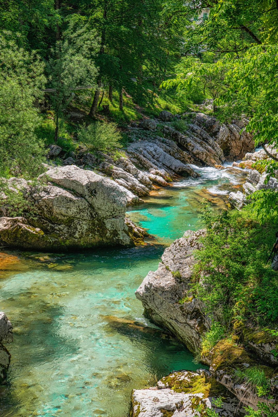 Velika-korita-Soce_FotoGablitz_iStock-1407056302