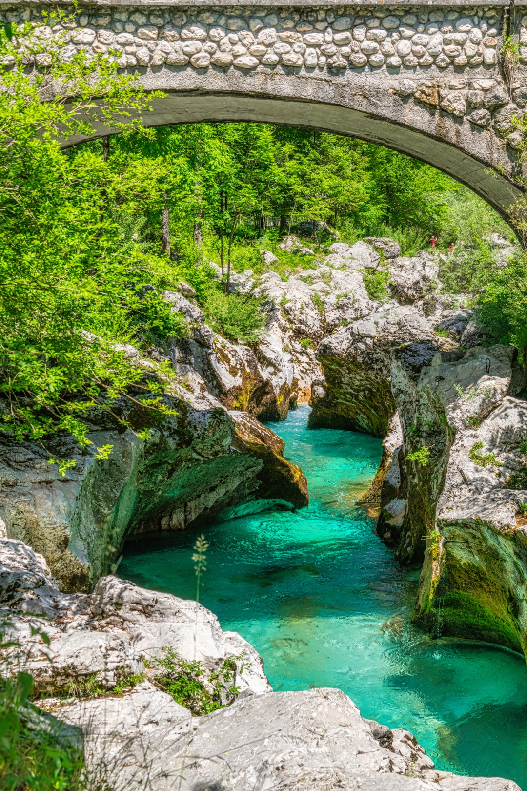 Velika-korita-Soce_FotoGablitz_iStock-1407060770
