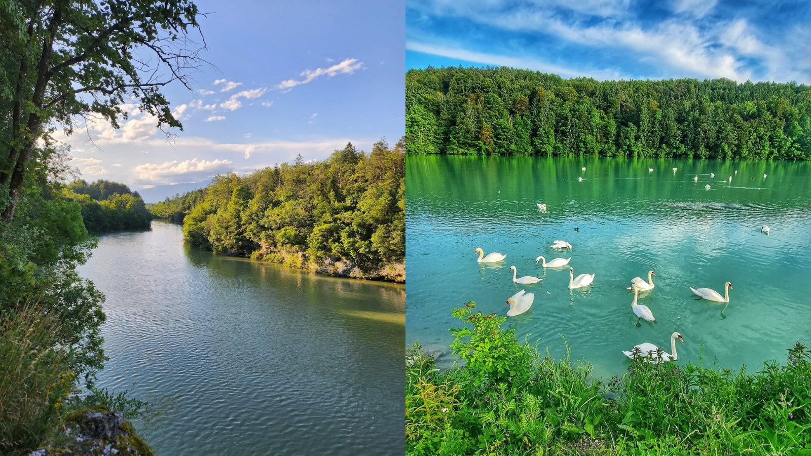 S kolesom iz mesta v naravo: Spokojen kotiček z labodi, igriščem in čolnarno