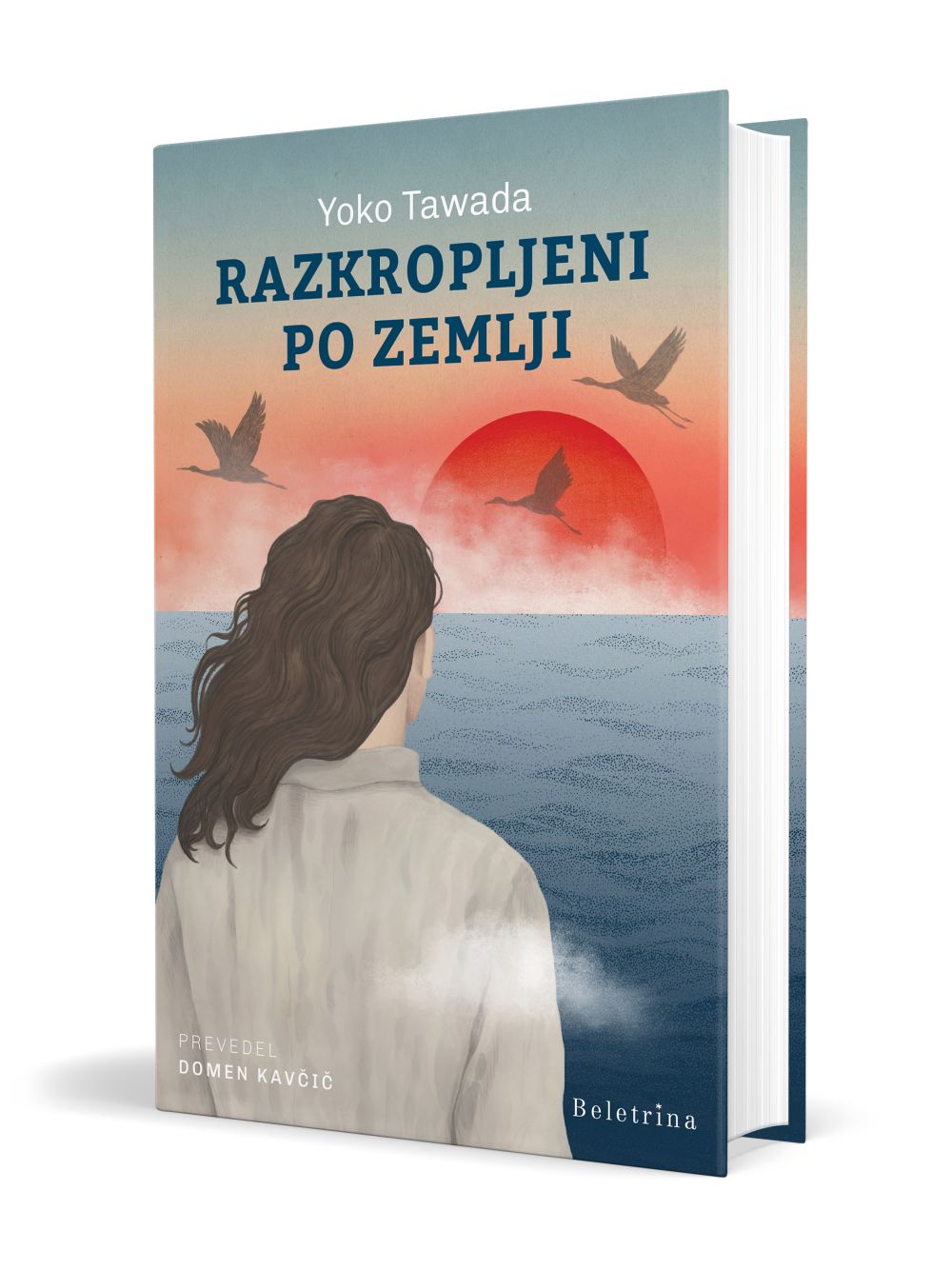 Razkropljeni po zemlji