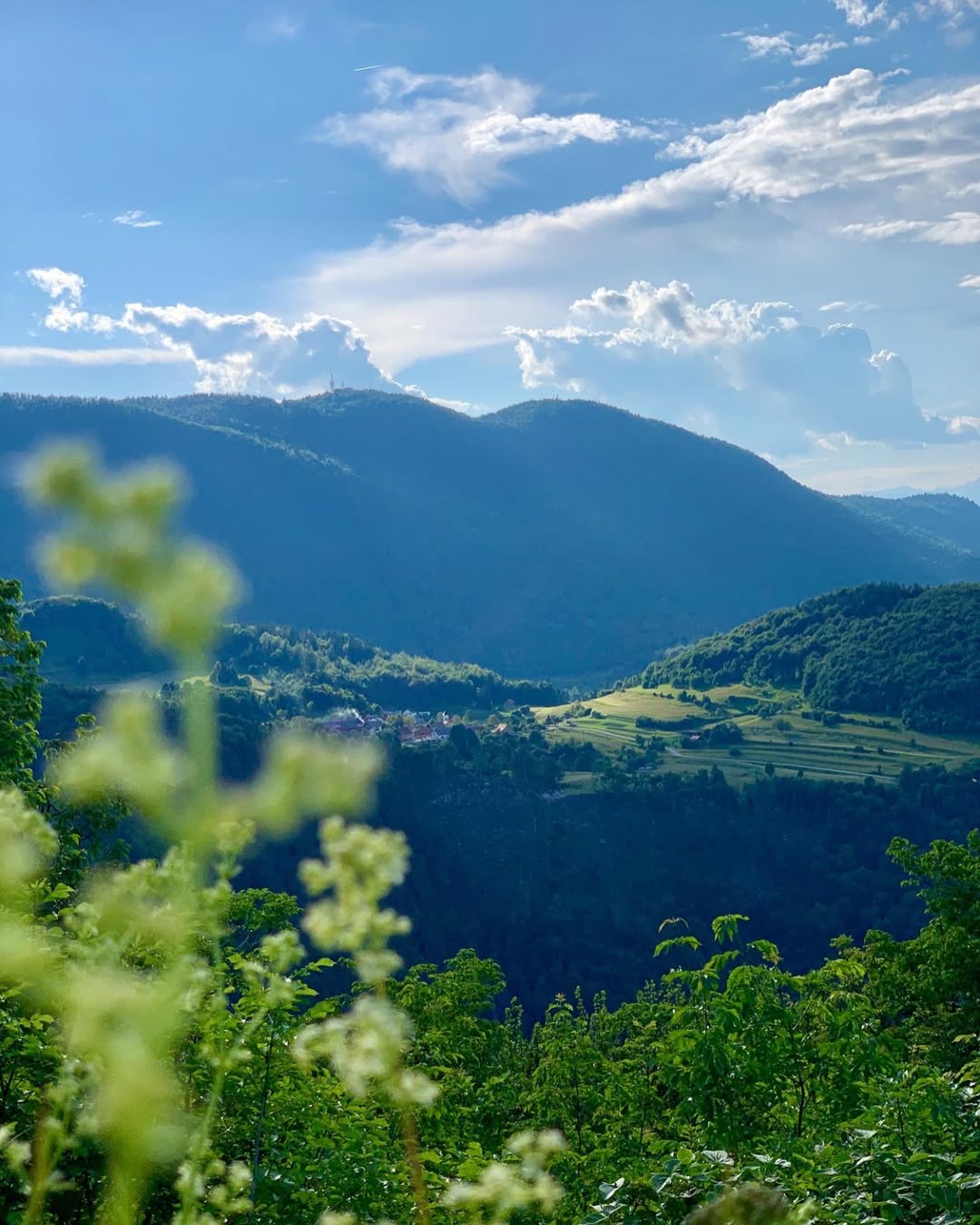 Kam na izlet, če želite naravo, malo vzpona in okusno kosilo na vrhu? Le streljaj iz Ljubljane je hrib s pogledom na Alpe in Ljubljansko barje