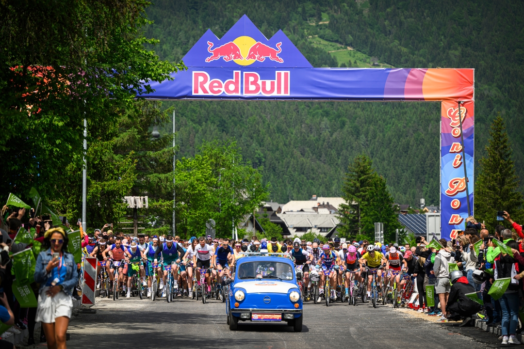 Red Bull Goni Pony 