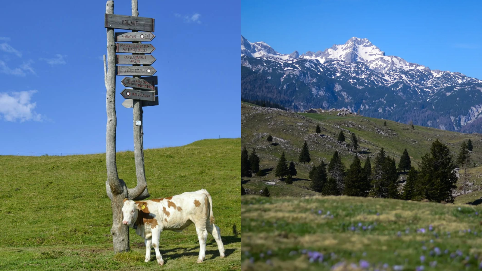 Čarobni pobeg v hribe: Zakaj vas bo Mala planina očarala bolj kot Velika planina