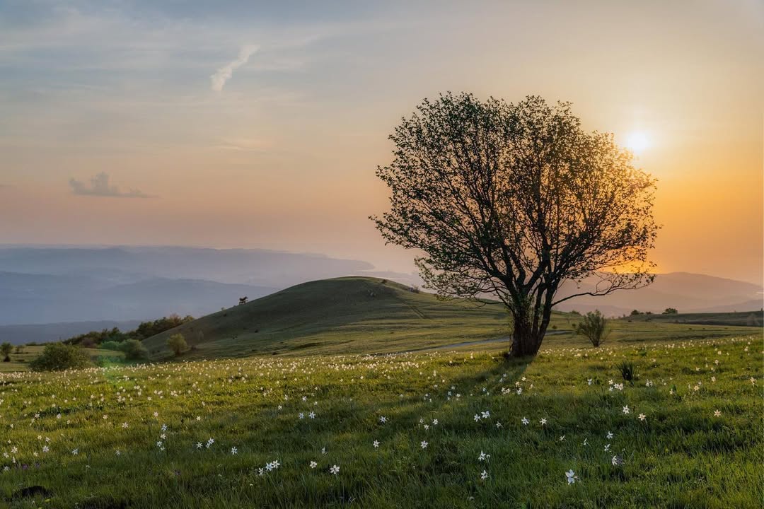Za vikend na kolo: Kolesarski izleti, ki so pravi užitek, ne napor
