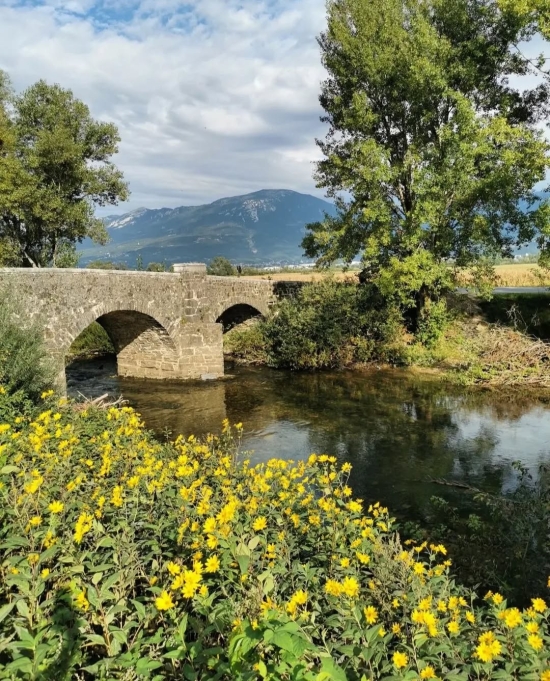 Kjer mostovi pripovedujejo zgodbe: Izlet v slikovito mestece, ki mu pravijo slovenske Benetke