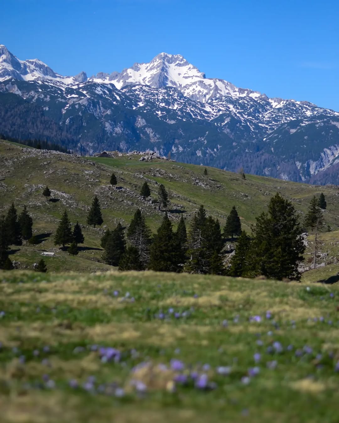 Čarobni pobeg v hribe: Zakaj vas bo Mala planina očarala bolj kot Velika planina