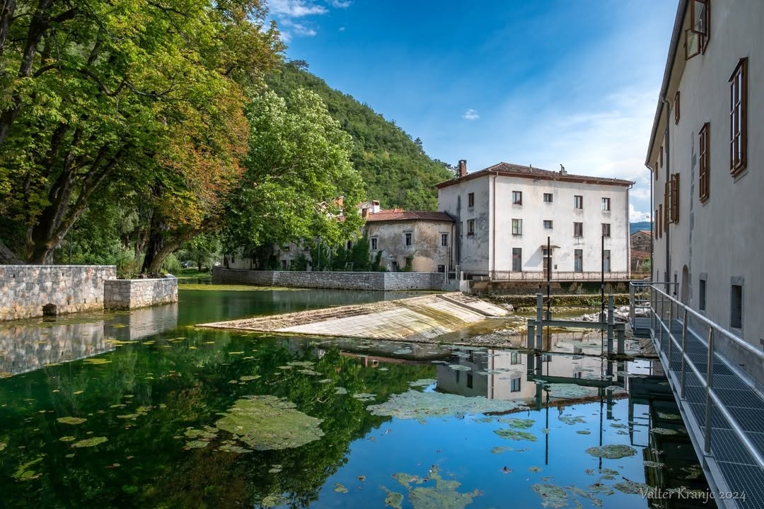 Vipava