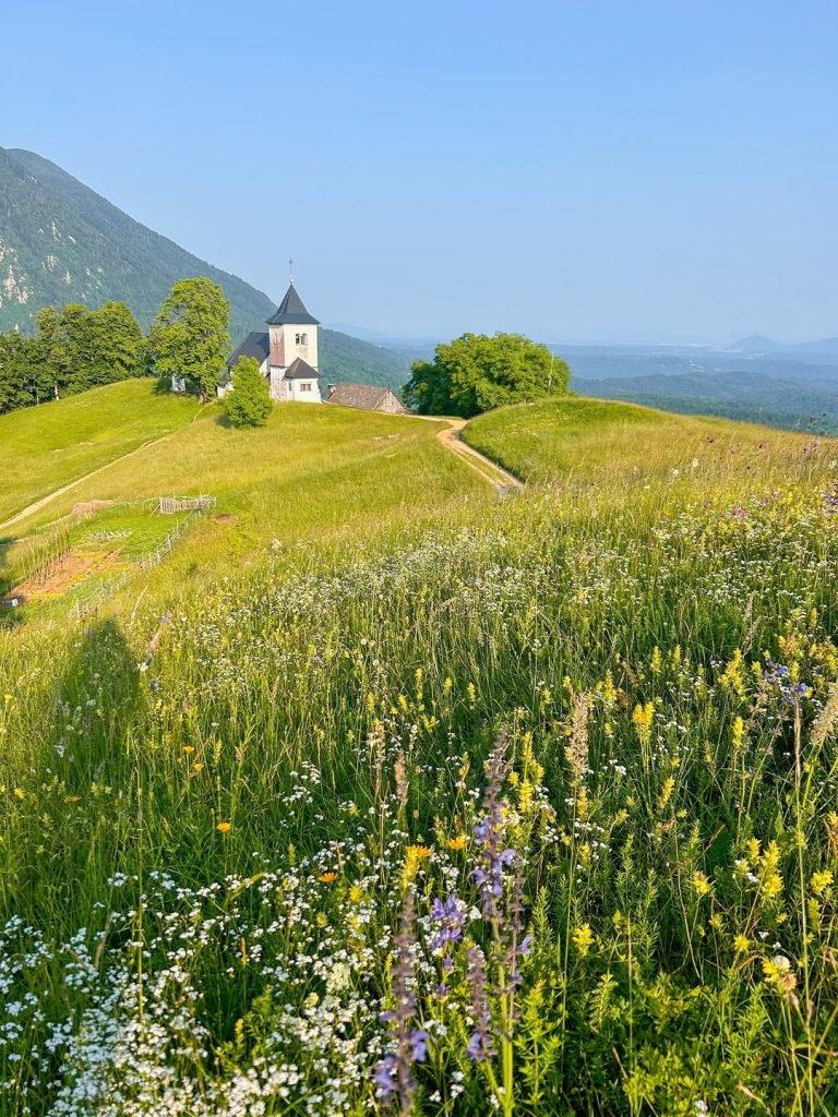 sveti peter