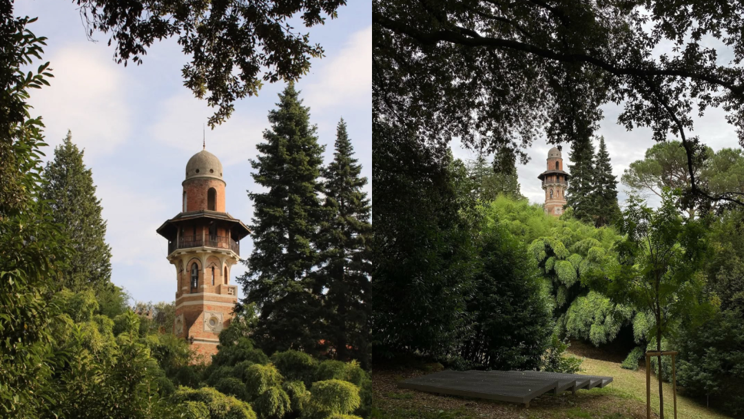 Park Rafuta