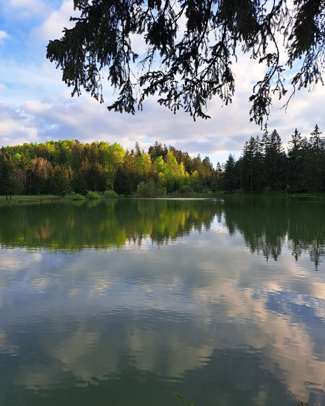 Ideja za izlet: Naravna oaza z leseno pravljico in razgledom, ki umiri dušo