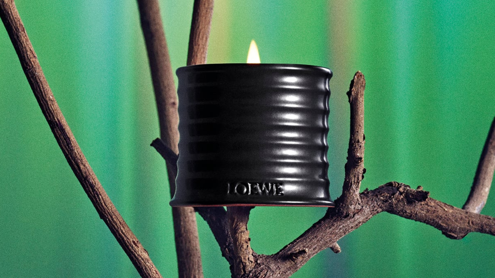 Palo Santo je nova dišava za dom iz LOEWE kolekcije, ki v dom prinaša toplino in ravnovesje