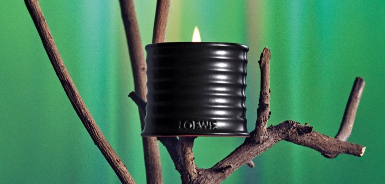 Loewe palo santo