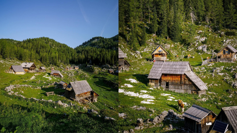 Planina Dedno polje