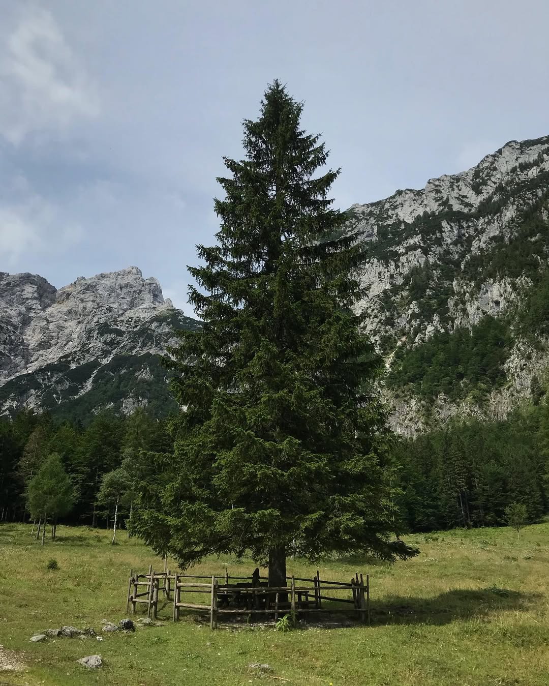 Če ste že prehodili Logarsko dolino, je čas, da odkrijete njen tišji, a prav tako očarljiv “sosednji kot”