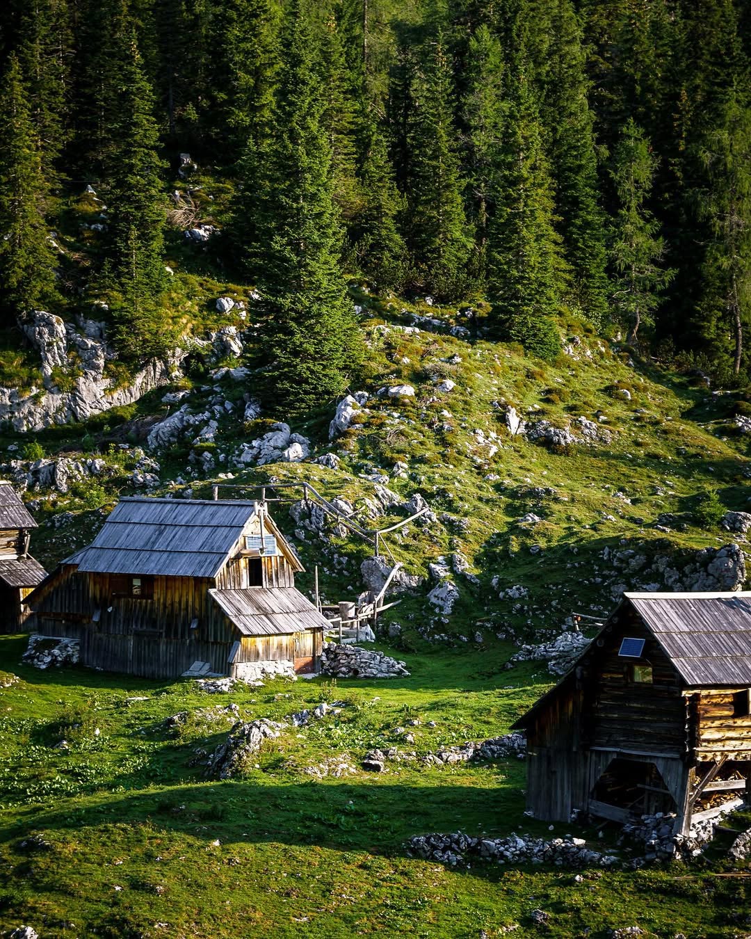 dedno polje